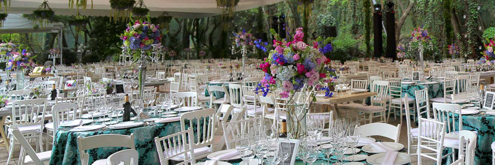 bodas y romance en ciudad de mexico